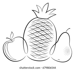 Vector hand drawn fruits isolated on white background.