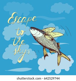 Vector hand drawn funny illustration with a flying fish and an inscription about escaping. Special for different entertainment purposes, puns and word games, children theme.