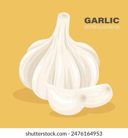 Vector Hand Drawn Garlic Bulb and Cloves Closeup. Vegetable Illustration. Whole Garlic Head and Peeled Garlic Cloves in Flat Style