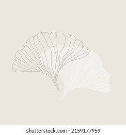 Vector of hand drawn ginkgo biloba leaves. Minimal outline  for branding. Beautiful asian style design for logo, textile, wallpaper, wrapping and etc. 