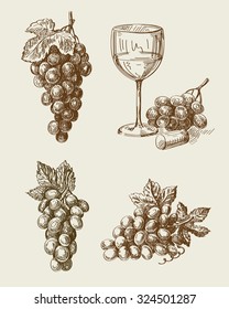 vector hand drawn grape sketch and vineyard doodle