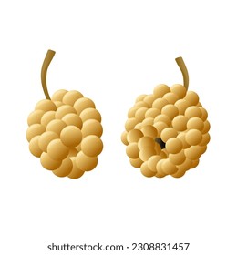 Vector hand drawn grape. Tropical fruit. Sketch. Doodle. Perfect for summer design.original artwork.vector