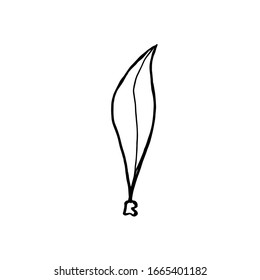 Vector hand drawn graphic abstract leave. Isolated element.