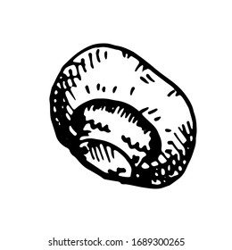 vector hand drawn graphic champignon isolated on a white background