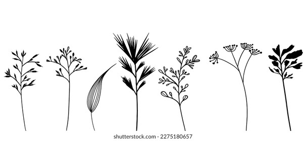 Vector hand drawn grass clipart. Simple contour line art, silhouette, isolated on white background. Herbs, leaves.