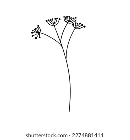 Vector hand drawn grass. Simple contour line art, silhouette, isolated on white background. Herbs, leaves.