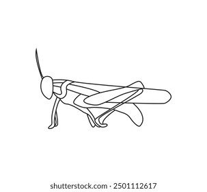 vector hand drawn Grasshopper insect in one line drawing 