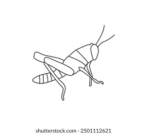 vector hand drawn Grasshopper insect in one line drawing 