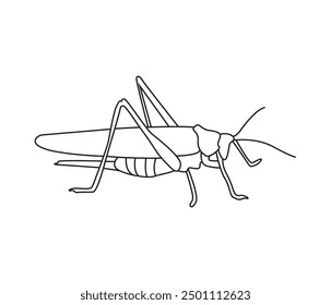 vector hand drawn Grasshopper insect in one line drawing 