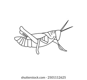 vector hand drawn Grasshopper insect in one line drawing 