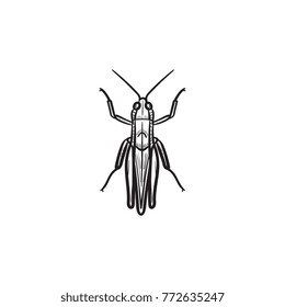 Vector hand drawn grasshopper outline doodle icon. Grasshopper sketch illustration for print, web, mobile and infographics isolated on white background.