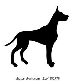 Vector hand drawn great dane dog silhouette isolated on white background