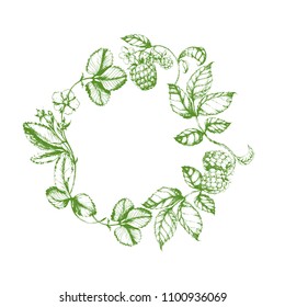Vector hand drawn green  healthy herbal wreath with plants. Ink drawn circle sketch with raspberry and strawberry  for print, card, wrapping, menu and other natural design.