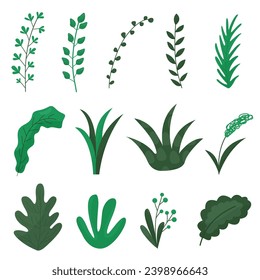 vector hand drawn green leaf design set