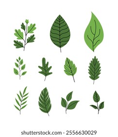 Vector Hand Drawn Green Leaves Collection. Illustration for Botanical and Nature Art