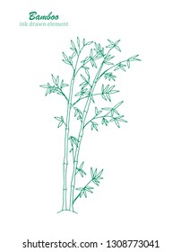 Vector hand drawn green plants of bamboo. Ink drawn botanical illustration with exotic herbs for print, logo, card and other natural herbal design. 