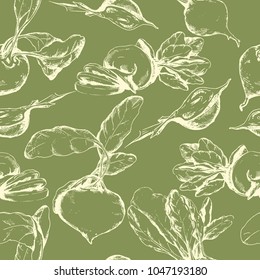 Vector hand drawn green  seamless vegetable pattern with beetroot. Ink drawn illustration in sketch style for print, wrapping, paper, fabric and other vintage design.