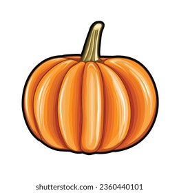 Vector Hand drawn Halloween pumpkin Isolated on white background realistic style pumpkin sticker illustration Pencil drawing Vegetable outline style illustration Farm market product Sketch easy to use