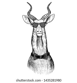 vector hand drawn head of antelope wearing glasses, animal hipster, vintage illustration