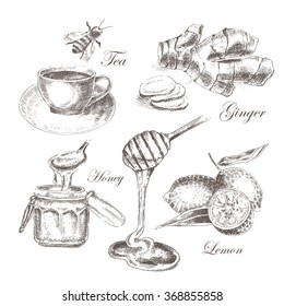 vector hand drawn healthy collection of lemons, honey, tea, honey jar. vintage food illustration