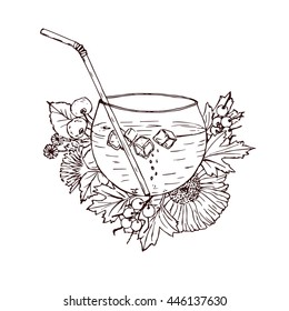 Vector hand drawn healthy collection cold tea, vintage food illustration.