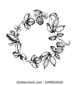 Vector hand drawn healthy herbal frame with berries.Black and white. Ink drawn circle sketch with raspberry and strawberry  for print, card, wrapping, menu and other natural design.