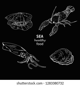 Vector hand drawn healthy sea food set on black. Ink drawn illustration for print, restaurant menu, card and other food design in vintage style.