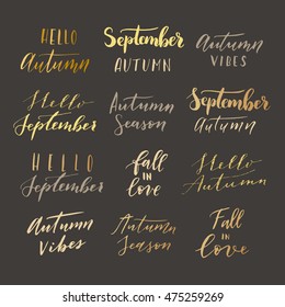 Vector hand drawn "hello September, hello autumn, autumn vibes, fall in love, autumn season" phrases. Modern calligraphy quote collection.