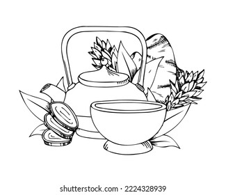 Vector hand drawn herbal ginger tea illustration. Decorative inking doodle elements