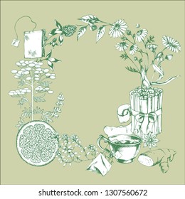 Vector hand drawn herbal tea tea frame on green. Ink drawn botanical illustration with healthy organic flowers and herbs for print, logo,wrapping, menu and other natural design for background.