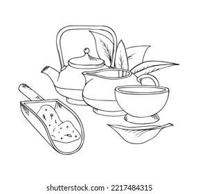 Ilustración de té a base de hierbas dibujada a mano por vectores. Elementos de doodle de entrelazado decorativo