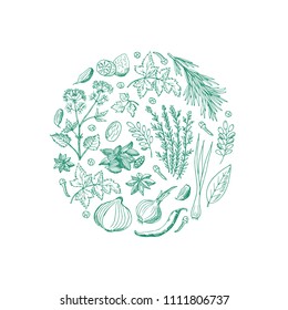 Vector hand drawn herbs and spices in circle shape illustration isolated on white background