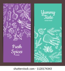 Vector hand drawn herbs and spices vertical web banners illustration