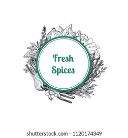 Vector hand drawn herbs and spices under circle with place for text illustration