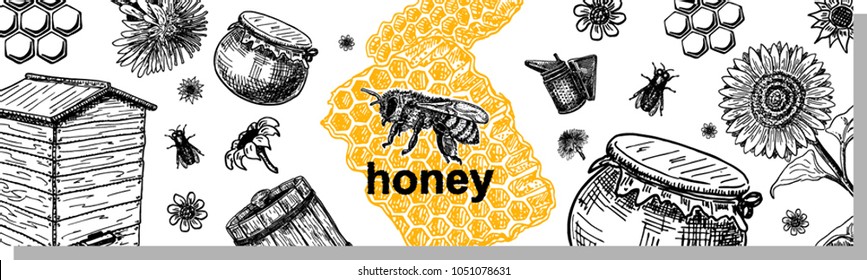 Vector hand drawn honey banner. Detailed engraved illustrations.Graphic honeycomb, bee, flowers. Banner, poster, flyer for business promote.