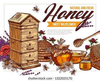 Vector hand drawn honey colorful design of poster. Sketch illustration with wildflowers, hives, honeycombs, jars, pots on background. Template for beekiping business