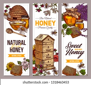Vector hand drawn honey vertical banners with wild flowers. Design templates with color sketch illustrations of plants, hives, honeycomb, jars, pots for for beekeeping and apiculture