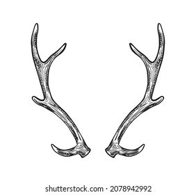 Vector hand drawn icon. Horns. Isolated on white background.