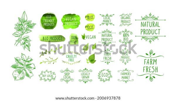 Vector hand drawn icons, natural product\
icons set isolated on white background, organic foods, healthy\
eating, hand drawn illustration, green\
leaves.\
