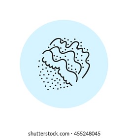 Vector hand drawn illustration