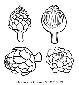 Vector hand drawn illustration of artichoke. Outline doodle icon. Food sketch for print, web, mobile and infographics. Isolated on white background element. Set