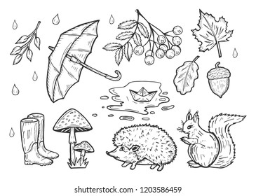 Vector hand drawn illustration of the autumn weather set. Rain drops, open umbrella, rubber boots, falling leave, a bunch of rowan, fly agaric mushrooms, squirrel, hedgehog, puddle with paper ship.