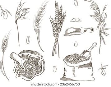 Ilustración dibujada a mano por vectores de elementos de panadería (saco de grano, pan, granos de trigo y espigas) conjunto de ilustraciones de boceto de tinta