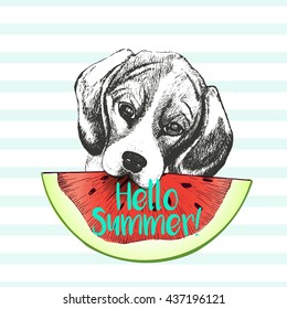 Vector hand drawn illustration of beagle dog eating the watermelon slice. Hello summer. Isolated on light green strips. fresh fashion vibrant summer poster. 