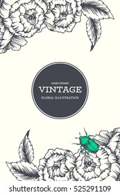 Vector hand drawn illustration with beautiful blooming flower and bug. Vintage floral background for labels, invitation or greeting cards