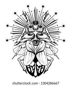 Vector hand drawn illustration of beetle with human eye isolated. Surrealistic tattoo artwork. Template for card, poster. banner, print for t-shirt, pin, badge, patch.
