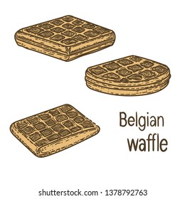 Vector hand drawn illustration of Belgian waffle on white background.