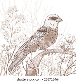 vector hand drawn  illustration of a bird and wild plants