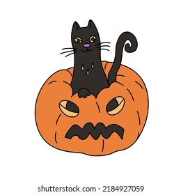 Vector hand drawn illustration of a black cat sitting in Jack O lantern.  reat for Halloween design.	