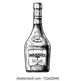 Vector hand drawn illustration of bottle of brandy in ink hand drawn style. isolated on white. 